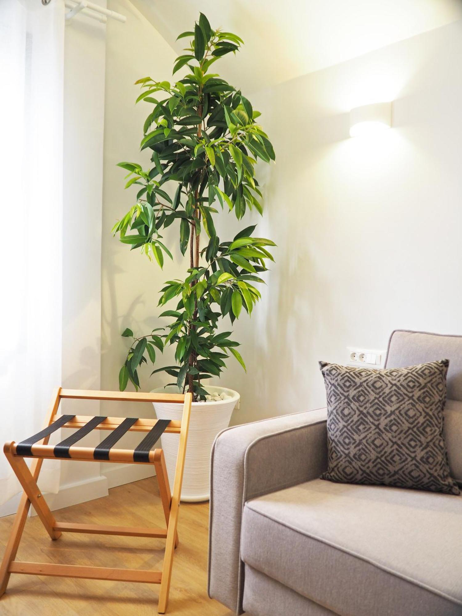 Times Elegant Rooms Ermoupoli Exterior photo